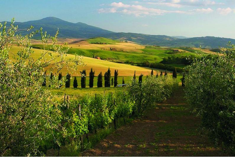 Le Traverse Pienza Esterno foto
